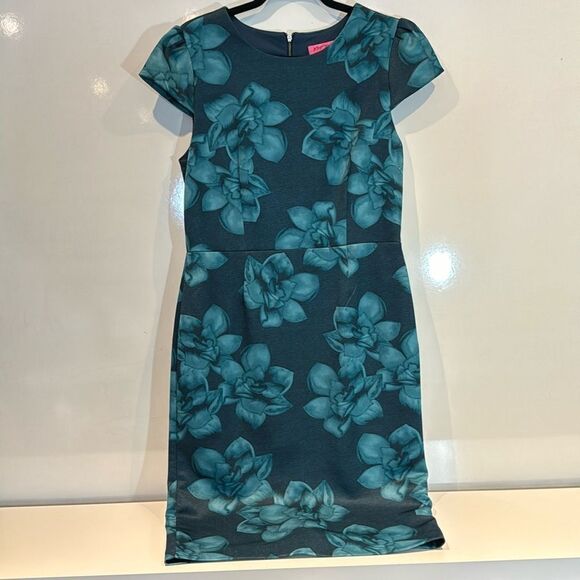 Betsey Johnson Dresses & Skirts - Betsy Johnson, size 10, green dress, back exposed zipper